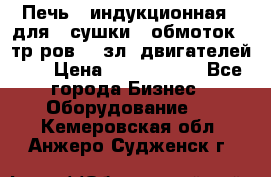 Печь   индукционная   для   сушки   обмоток   тр-ров,   зл. двигателей    › Цена ­ 3 000 000 - Все города Бизнес » Оборудование   . Кемеровская обл.,Анжеро-Судженск г.